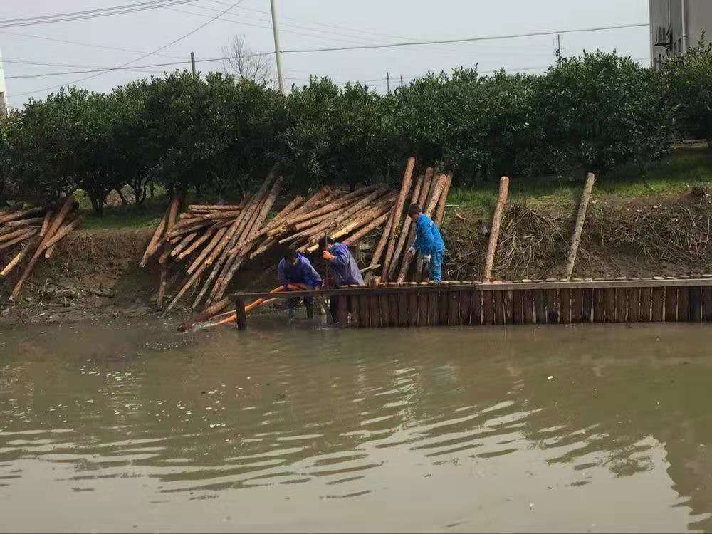 4米落葉松打樁木